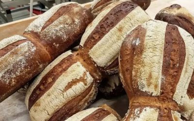 Das erste klimaneutrale Brot in Lippe